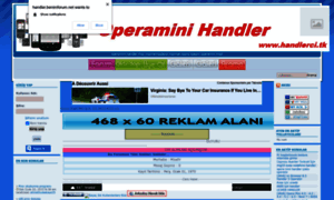 Handler.benimforum.net thumbnail