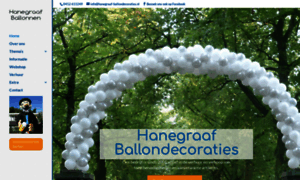 Hanegraaf-ballondecoraties.nl thumbnail