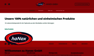 Hanex-gmbh.de thumbnail