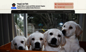 Happylabtails.com thumbnail