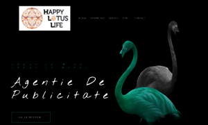 Happylotuslife.ro thumbnail