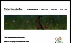 Hare-preservation-trust.co.uk thumbnail