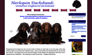 Harlequindachshunds.com thumbnail