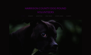 Harrisoncountydogpoundvolunteers.org thumbnail