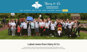 Harryandco.org thumbnail