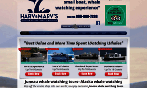 Harvandmarvs-alaska-whale-watching.com thumbnail