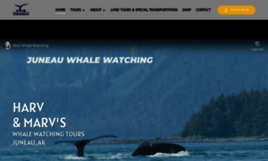 Harvandmarvs-juneau-whale-watching.com thumbnail