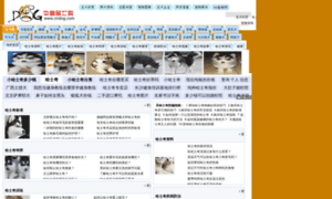 Hashiqi.cndog.net thumbnail