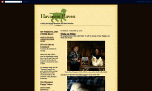Havanesehaven.blogspot.com thumbnail