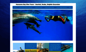 Hawaiidolphinsnorkeltours.com thumbnail