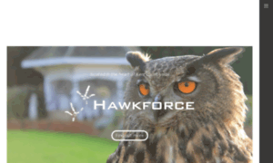 Hawkforce.co.uk thumbnail