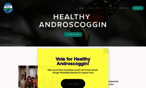 Healthyandroscoggin.org thumbnail