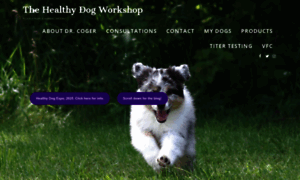 Healthydogworkshop.com thumbnail