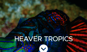Heavertropics.co.uk thumbnail