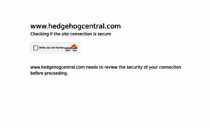 Hedgehogcentral.com thumbnail
