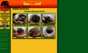 Hedgehogheadquarters.com thumbnail