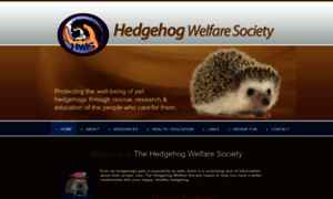 Hedgehogwelfare.org thumbnail