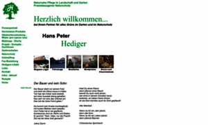 Hediger-hp.ch thumbnail