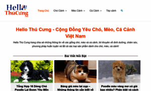 Hellothucung.com thumbnail