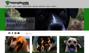 Helpinghoundsdogrescue.org thumbnail