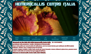 Hemerocallis.it thumbnail