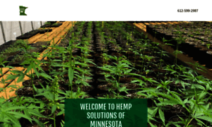 Hempsolutionsmn.com thumbnail