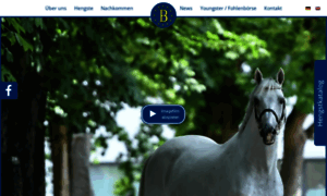 Hengststation-bachl.com thumbnail