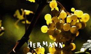 Hermann.ch thumbnail