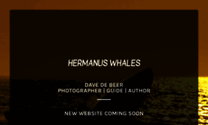 Hermanuswhales.co.za thumbnail