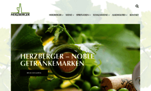Herzberger.de thumbnail