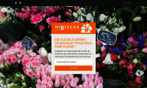 Hibiscusfleurs.fr thumbnail