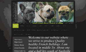 High-forest-rare-french-bulldogs.com thumbnail