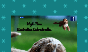 High-timeaustralianlabradoodles.com thumbnail