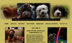 Highcountrylabradoodles.com thumbnail