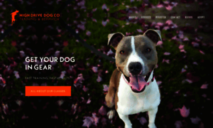 Highdrivedogco.com thumbnail