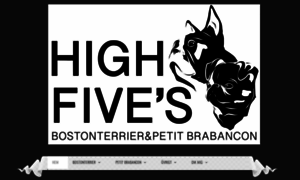 Highfives.se thumbnail