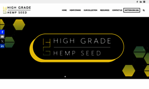 Highgradehempseed.com thumbnail