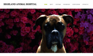 Highlandanimalhospital.net thumbnail