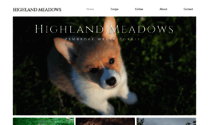 Highlandmeadowcollies.com thumbnail