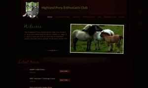 Highlandponyenthusiasts.co.uk thumbnail