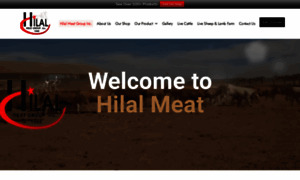 Hilalmeatgrup.com thumbnail