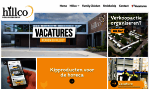 Hillcopoeliersbedrijf.nl thumbnail