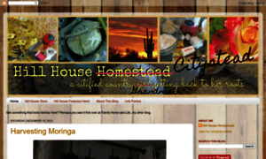 Hillhousehomestead.blogspot.com thumbnail