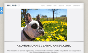 Hillsidevetclinic.co.za thumbnail