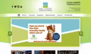 Hillsidevets.co.uk thumbnail