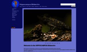 Hippocampus-bildarchiv.de thumbnail