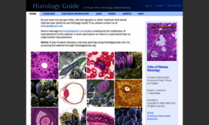 Histologyguide.com thumbnail