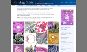 Histologyguide.org thumbnail