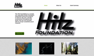 Hitzfoundation.org thumbnail