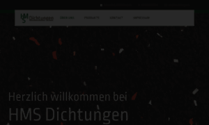 Hms-dichtungen.de thumbnail